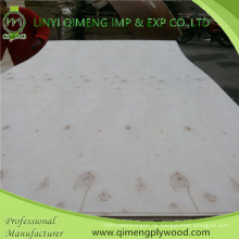 Linyi Qimeng liefern 3mm Pappel Sperrholz mit guter Qualität